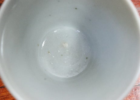 江戸中期染付立草図小猪口　5客組