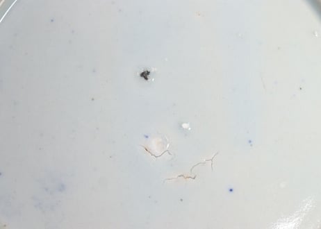 明治前期紙刷三方に窓絵図7寸皿 少甘手