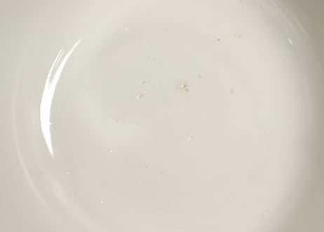 明治前期色絵春蘭と椿図通り物蒸茶碗