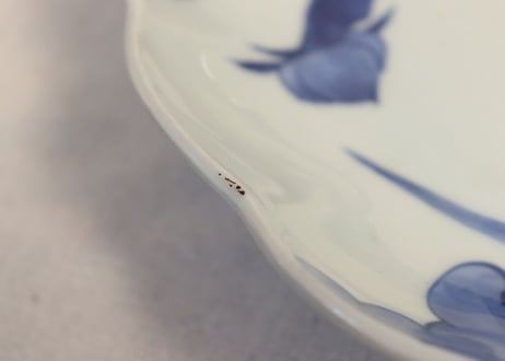 江戸中期染付牡丹図9.5寸輪花皿 ホツ