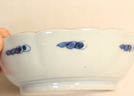江戸後期色絵秋海棠図なます皿②黒点