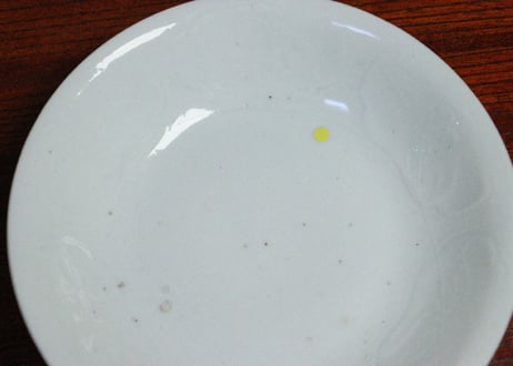 江戸中期白磁陽刻草花図5寸皿　ニュウ