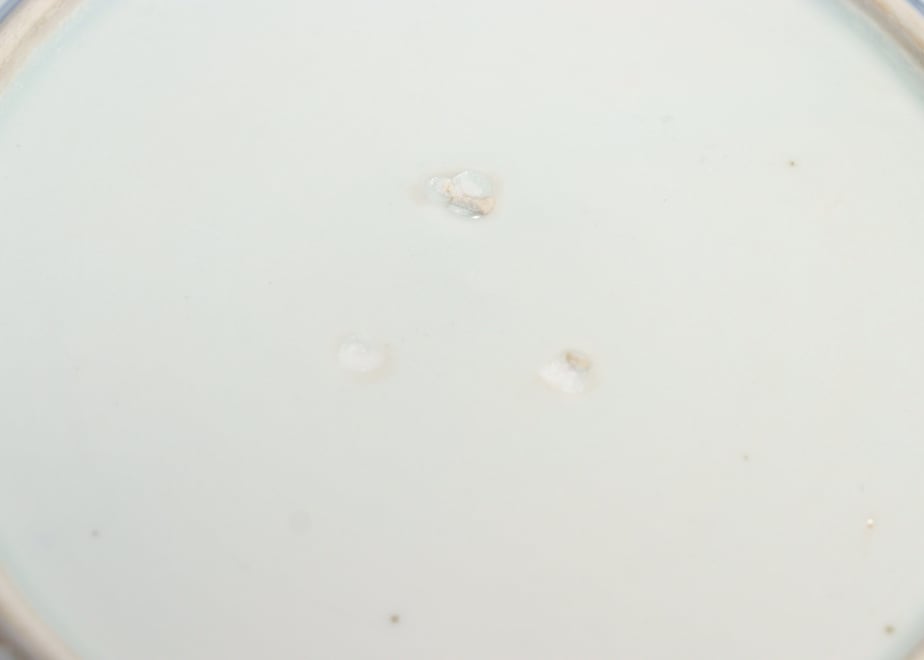 64bf69937b8f03006288aa1e