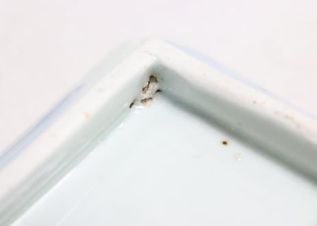 江戸幕末染付菖蒲図長皿　かたつき