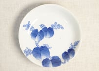 明治後期~大正染付秋海棠図5寸深皿