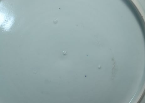 江戸中期染付菊と蝙蝠図7寸皿 少カマキズ,少がたつき