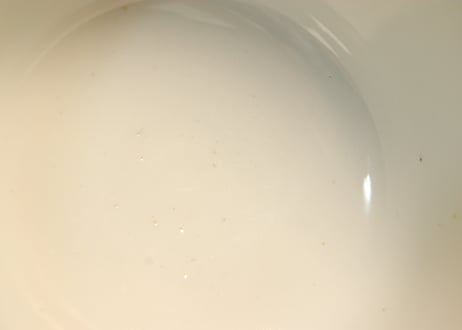 明治前期色絵松と牡丹図蒸茶碗②　蓋少甘手