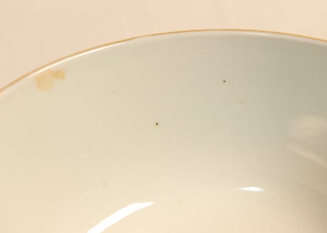 明治前期色絵松と牡丹図蒸茶碗②　蓋少甘手