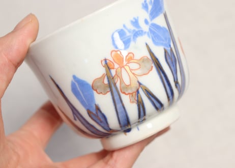明治後期~大正色絵菖蒲図向付 ムシクイ込み