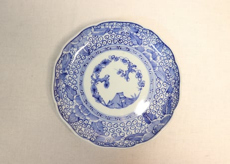 夏*J様 豪華‼️ 幕末明治の染錦 7寸中皿 小皿 なます皿 向付け 各種5