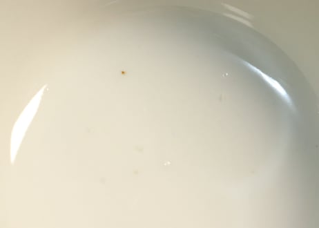 明治前期色絵桃に山水と鳥籠図通り物蒸茶碗
