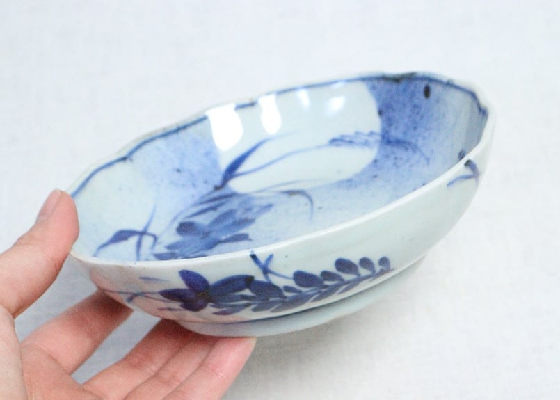 桔梗様*.+゜ 桔梗様•*¨*•.¸♬︎