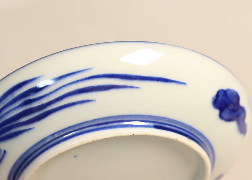 明治前期色絵龍と貝尽くし図小皿①少擦れ | 吉祥寺PukuPuku