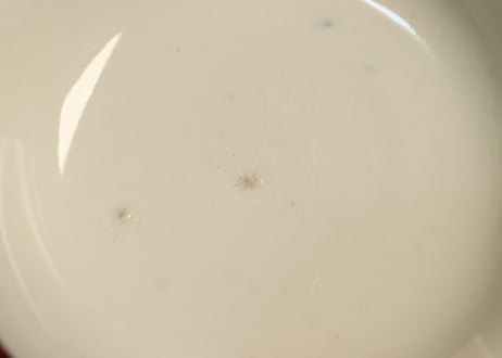 明治後期~大正銅判氷裂に梅図飯茶碗①