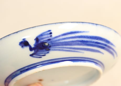 明治前期色絵龍と貝尽くし図小皿②少甘手