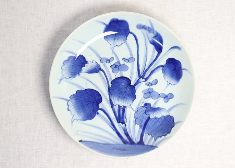 江戸幕末染付秋海棠図尺皿 | 吉祥寺PukuPuku