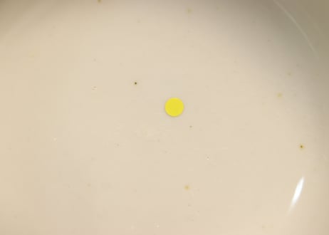 明治前期色絵梅と鶯に鳥籠図通り物蒸茶碗②　少甘手