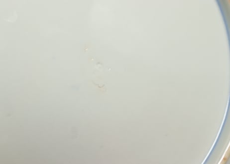 明治前期色絵高砂図通り物7寸皿