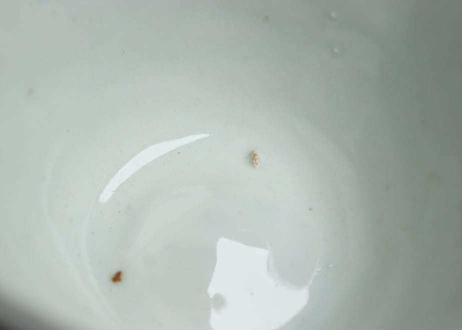 651fdc4885e36303e9b01f53