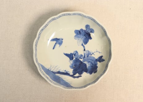 CATEGORY なます皿 | 吉祥寺PukuPuku