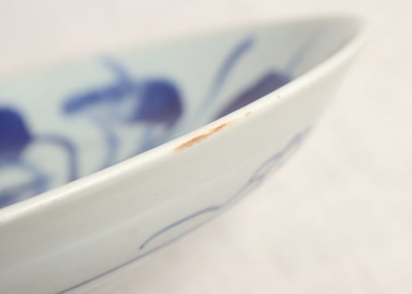 江戸幕末染付秋海棠図尺皿