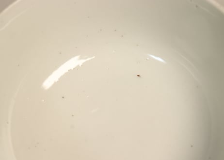 明治前期色絵松竹梅に鶴図通り物蒸茶碗