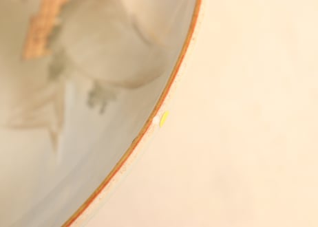 明治前期九谷焼色絵家風景図通り物8寸皿②　ノミホツ