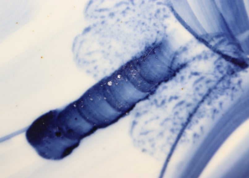 大正～昭和戦前染付山水図8寸皿 | 吉祥寺PukuPuku