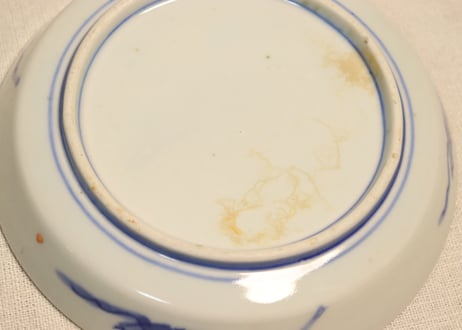 明治前期色絵牡丹と菊図縁立5寸皿