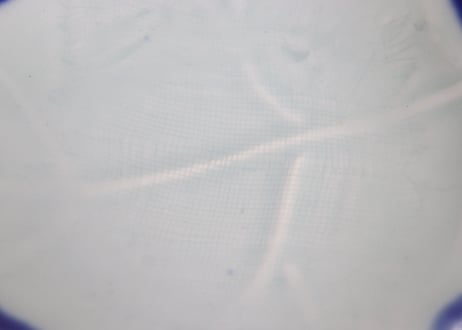 昭和戦前青磁陽刻葉型6寸皿