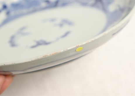 江戸中期染付鉄線図6寸皿5客組 ノミホツ,ムシクイ
