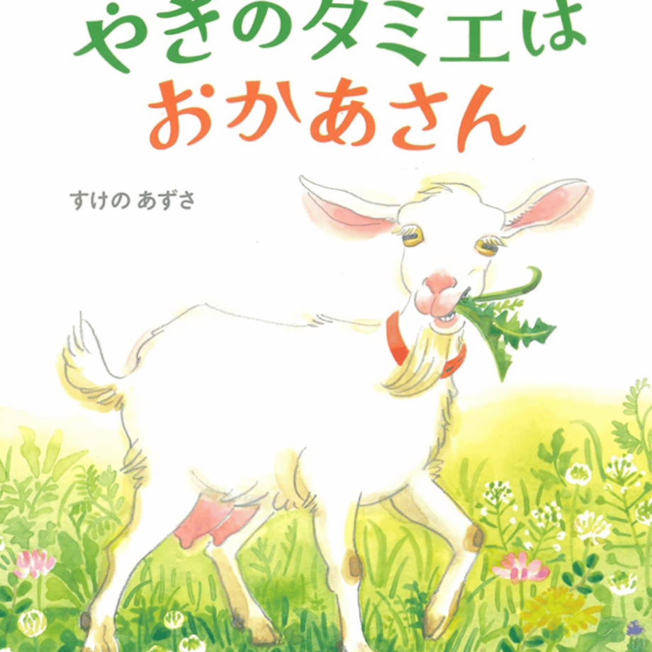63ec7606d77a6f0f46510a9b