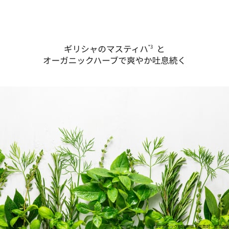 【お得な定期便】3か月毎♪　80gチューブ2本セット ＋20gチューブ（2,200円）1本プレゼント！