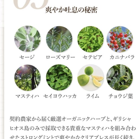 【ギフト仕様】 Rêve Allbe Natural Tooth Gel Ⅱ 65g