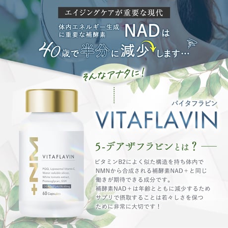 VITAFLAVIN 60mg