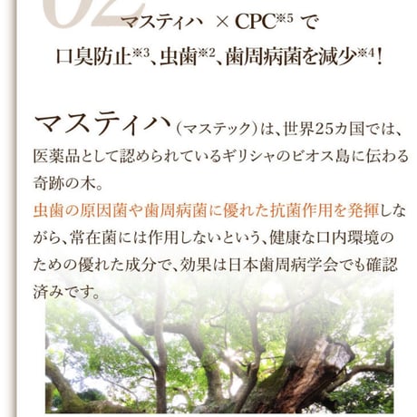 【ギフト仕様】 Rêve Allbe Natural Tooth Gel Ⅱ 65g