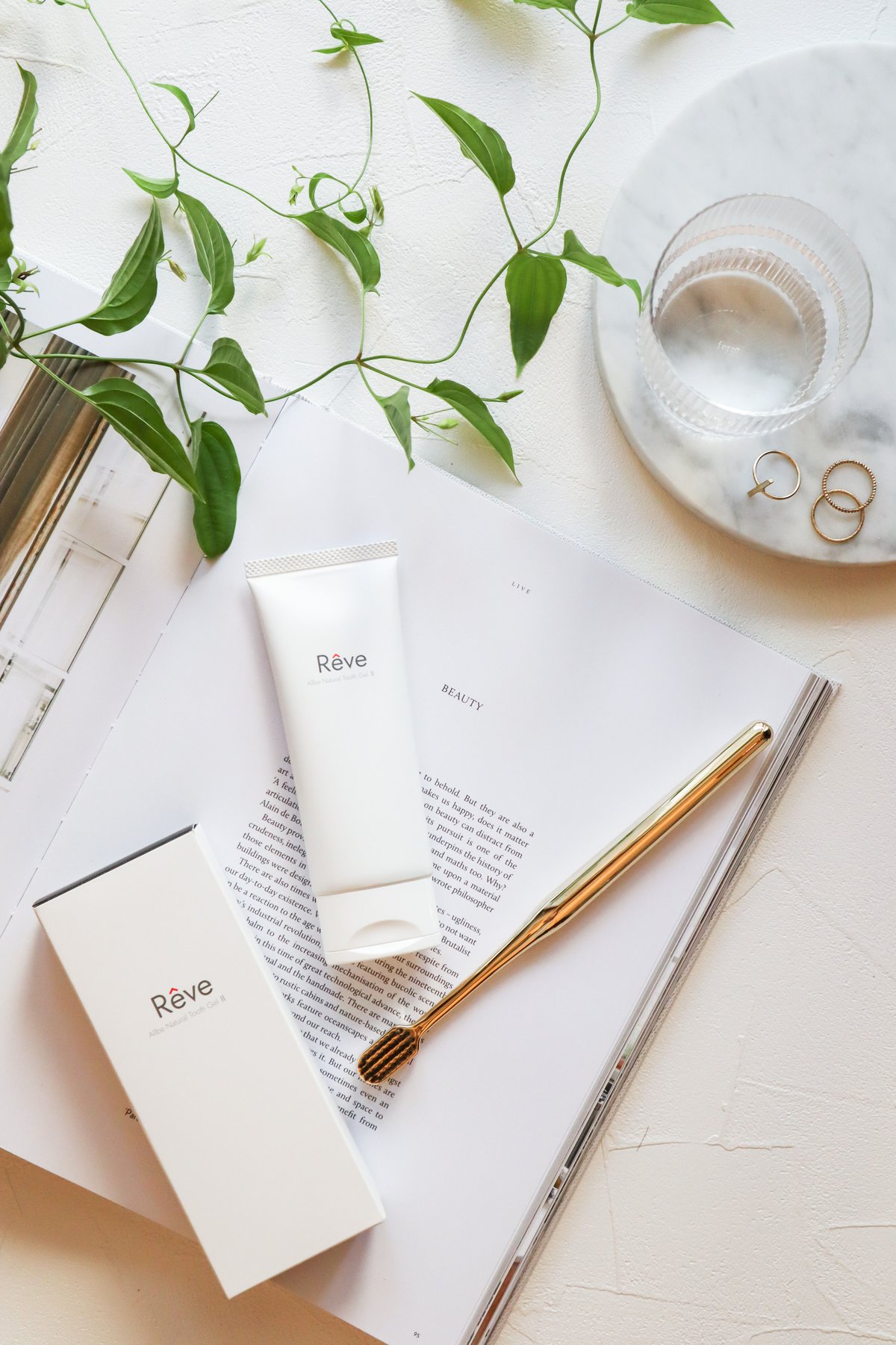 単品】Rêve Allbe Natural Tooth Gel Ⅱ 80gチューブタイプ |