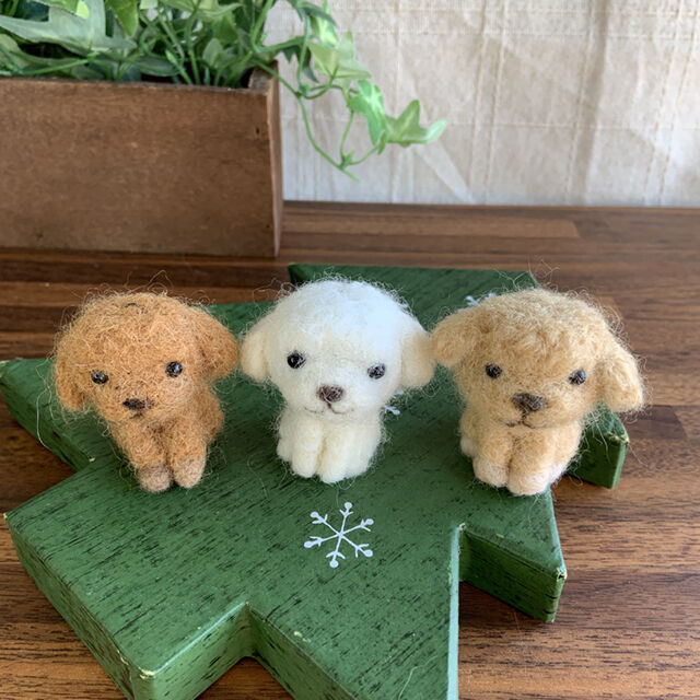 チビ犬・トイプードル』レッド d-7 | gingakoubou's STORE チビ犬・トイプードル』レッド d-7 | gingakoubou's STORE