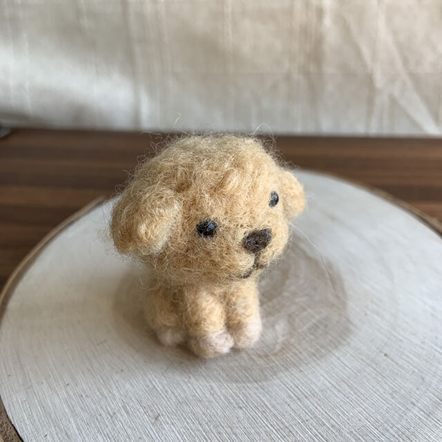 チビ犬・トイプードル』アプリコット d-8 | gingakoubou's STORE