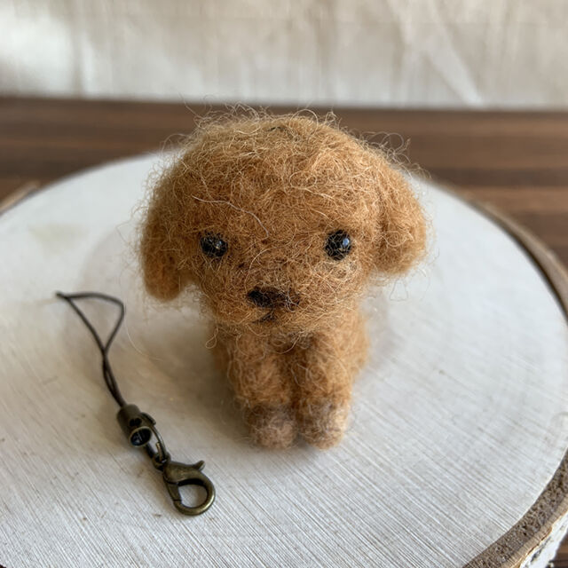 ハンドメイド：テディベア　ワンコ（トイプードル）　2501 いぬすたぐらむ #犬 #dogsofinstagram #トイプードル #toypoodle