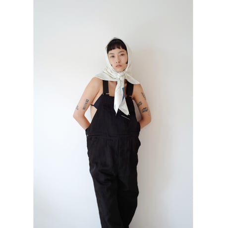 EDIT OVERALLS