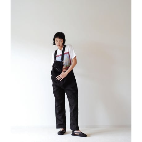 EDIT OVERALLS