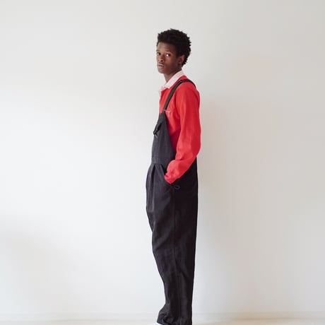 EDIT OVERALLS