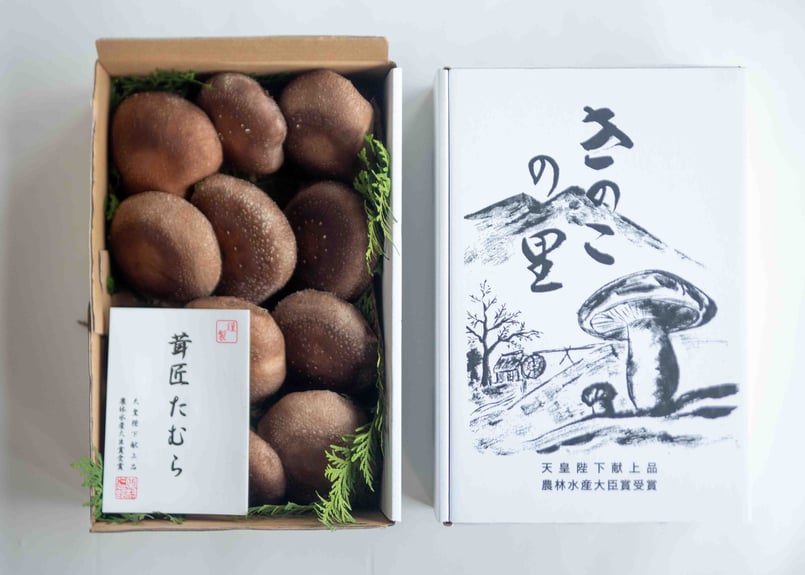 きいたけ Amazon | キタコ(KITACO) マフラージョイントガスケット(JPK-4