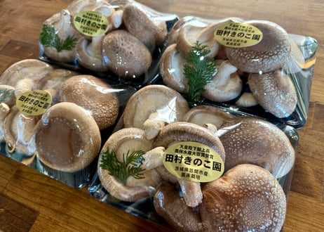 CATEGORY 椎茸 | 田村きのこ園公式ショップ