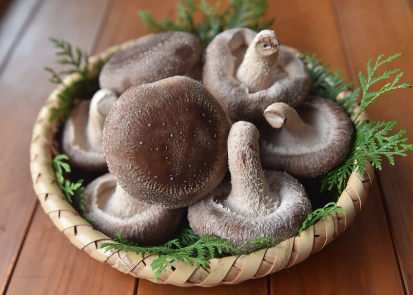 旨味干し椎茸袋（大容量70g） 送料込み | 田村きのこ園公式ショップ