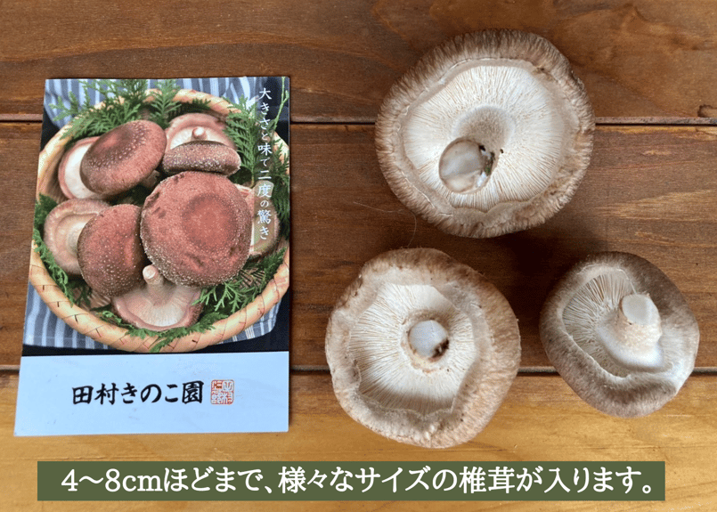 旨味たっぷり椎茸650g〜（ご家庭用小サイズ） | 田村きのこ園公式ショップ