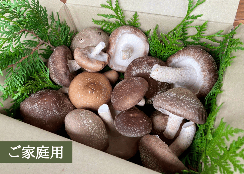 年内発送＞旨味たっぷり椎茸650g（ご家庭用） | 田村きのこ園公式ショップ