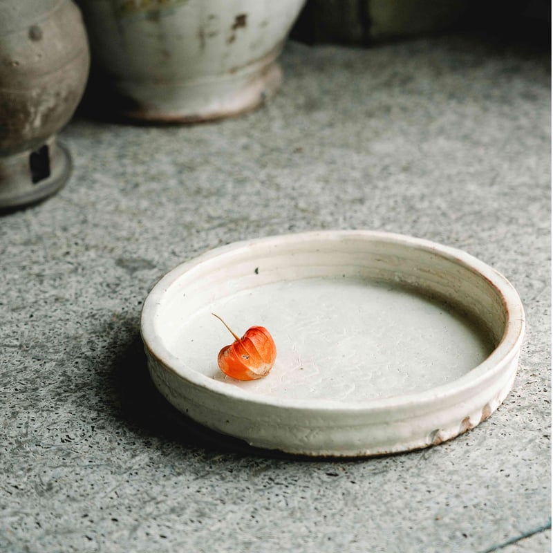 芳賀龍一】白化粧立ち鉢_24 | Q1 オンラインストア