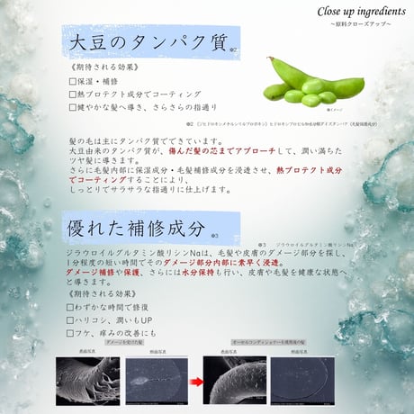 オアシス ステムリッチシャンプー